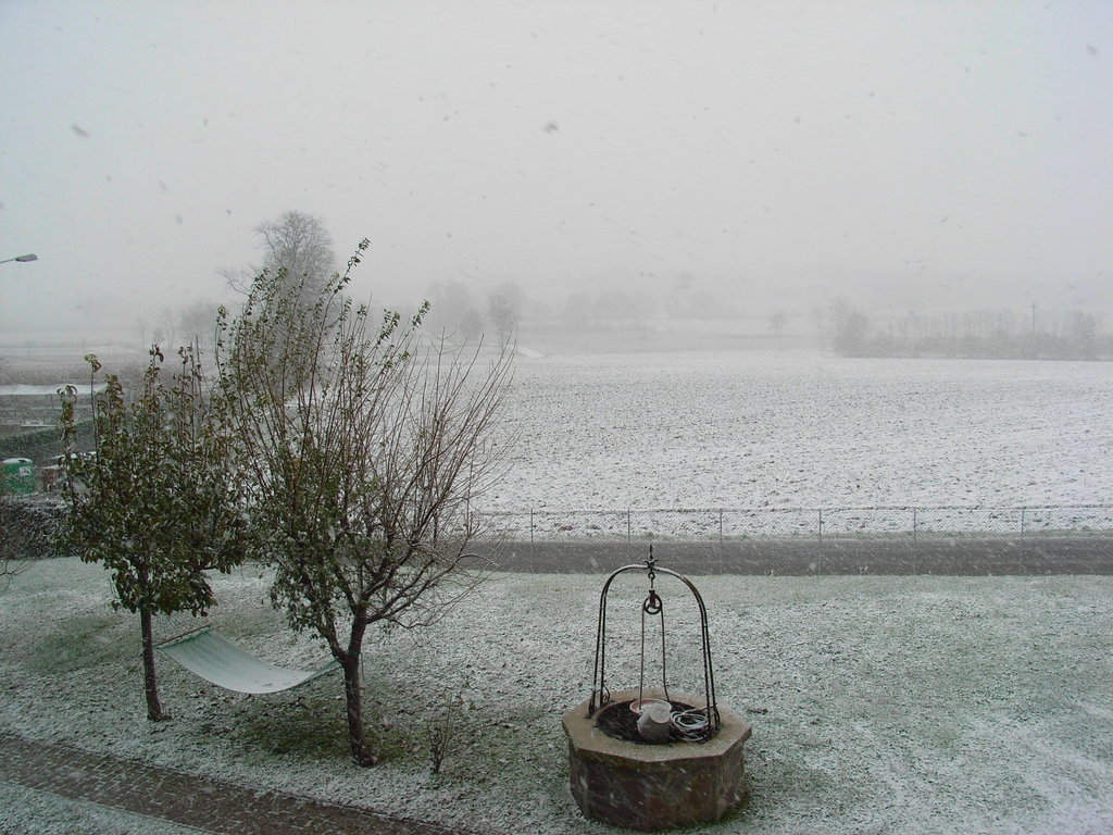Foto 78
